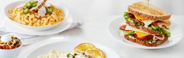 Smooth Kentico Upgrade & Content Sync for Food Production Website 